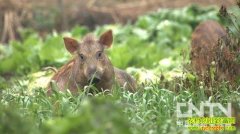 ��ʦ��ɽ����׬Ǯ����(20130307)