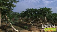 ��ɩ�����е���(20130308)