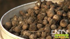 [�¸���]�����ݵı�ϲ���ĲƸ�