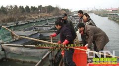 ��ֵʮ��������ı�����(20130319)