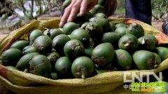 һ����ҵ��� һ�Ƴ��׷���(20130320)