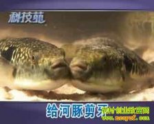 ���������(20130325)