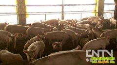 ��������������Դ��һ��������(20130322)