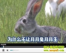 Ϊʲô����������������(20130401)