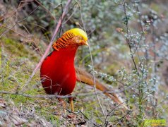 ������ �¸�һ��(20130409)