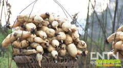 �������ڳ��۱���(20130416)