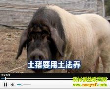 ����Ҫ��������(20130424)