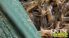 żȻ����һ�仰 �ͱ���һ��׬����(20130508)