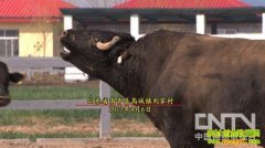 ֣Т����ţ��ҵ�¸���Ƶ(20130515)