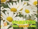 ���廨̳�Ľ�������������(��)(20130606)