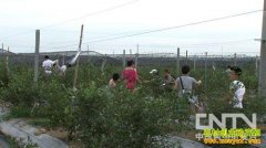 90��Ů������һҹ����֮��