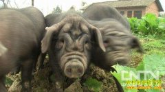 [�¸���]�����������ȥ��ҵ