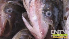 [�¸���]ʷ������Ǯ�Ϳ�����ͷ