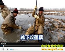 [�Ƽ�Է]��������ź