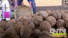 [�¸���]�ø��ױ�ծ��С���Ž�ѫ���һ��֮��