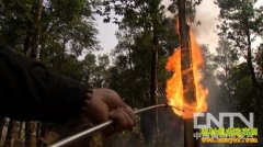 [�¸���������ֲ]����ĥ��ľͷ ��Ȼƽ�