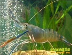 [�����е���Ϻ]�Ӳ���Ǯ����Ϻ�˳�����