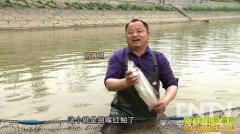 [�¸�������]������Ϊ��һ���Ľ����������н