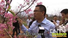 [�¸�����ӣ��]һ��Ǳ����17��ĲƸ��ƻ����ϣ�