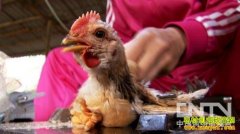 [�¸����˼�]Τ���Ҵ���ƫ�� ׬Ǯ�е�