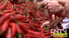 [�¸���������]������ҵ�Ķ��Ӵ�������Ƹ�