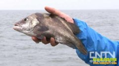 [�¸����ӹ����]֣����Ҫ���ϴ� ����С�Դ�����