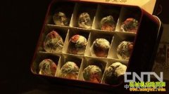 [�¸����ֲ���]������:����һҹ�����ǵĻ�