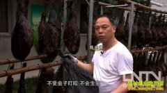 [�¸���]���ȸ硱�½𸻵ĲƸ������㲻��