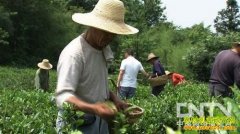 [�¸����ֲ�]�����:���˻ش� �����鴫