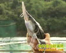 [�����е�������]�����Ҽ�