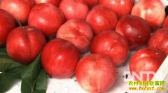 [�¸���]�廪ѧ�Ӽ�Ƚ�����ϵĲƸ�����