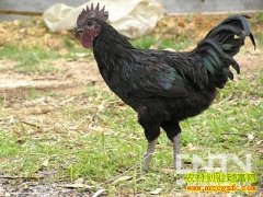 [�����е�����]����˶ʿ��������ķɼ���