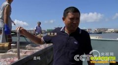 [�¸���]���۲����ϲ�ֵǮ��С����֮��