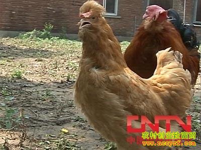 [�����е�]�����ͼ�ʮ�곤�ɼ�