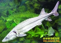 [�����е�]�����Ҽ�