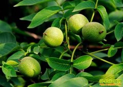 [ũ�����]��ʵ���������޼�����