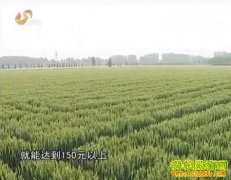 [ũ�����]����³ԭ502С����ֲ������Ƶ