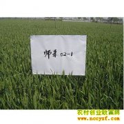 [ũ�����]����ǿ��С��ʦ��02-1��ֲ����