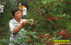 [�۽���ũ]СС������ϲ����