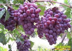 [�Ƽ�Է]�Ƽұ��������ֳ�������