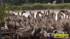 [�¸���]����Ů���ֶ��ԡ����ԡ�����ĲƸ�