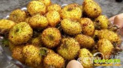 [�¸�������]���Լҳ����������̵�ǧ��Ƹ�