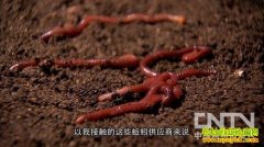 [�Ƽ�Է]�����׬��Ǯ ȫ��������ʹ�