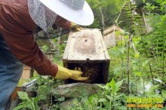 [�����е�]��ũ�����������������