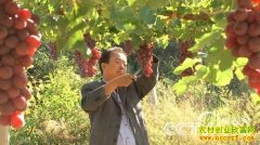 [�¸���]������Ǯ�����Ƴ�������ҵ��ͷ��