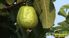 [�¸���]֣־������Ƹ��ӿ�����������ʼ