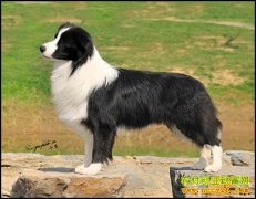 [�����е�]����С����Ȯ��