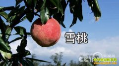 [�¸���]��ϰ���ڱ��˵ı�Թ��ץס����