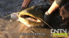 [�۽���ũ]���㵽���಻�࣬�ܲ��ܳԣ�