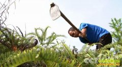 [�¸���]�ϱ��������ֽ�Ļ�ɽ���μ�